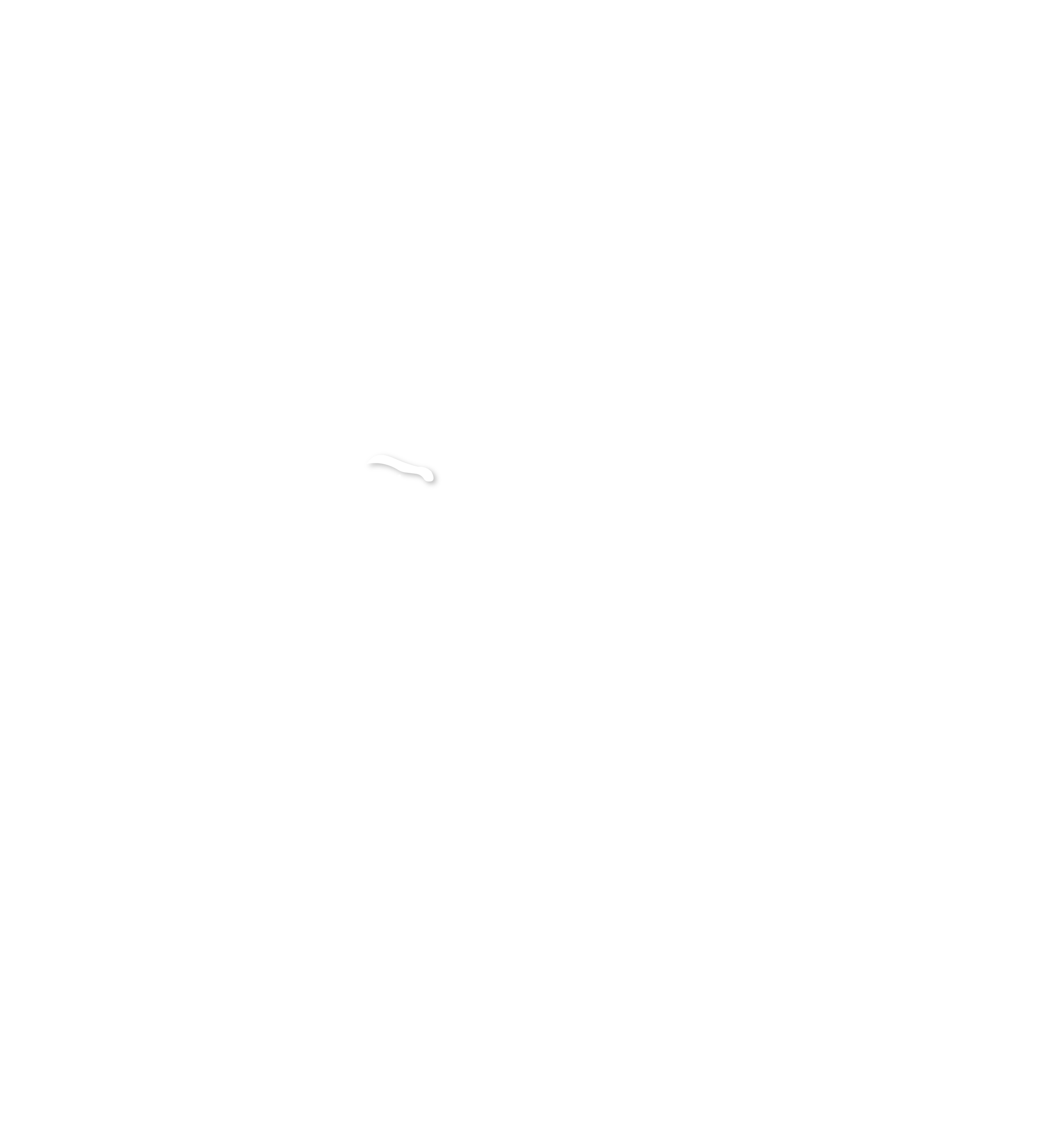 Shield Logo 2
